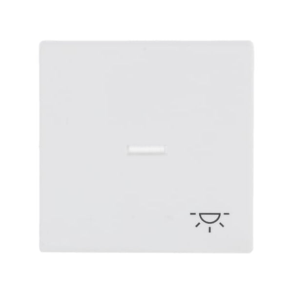 Busch-Jaeger Wippe stws mt mit Symbol Licht 1789 LI-884